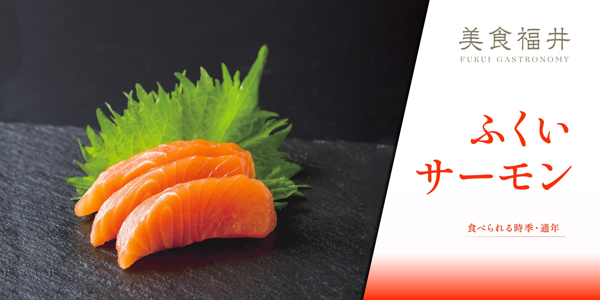 【美食福井】安心安全のブランド魚「ふくいサーモン」は、生産から出荷まで一貫管理
