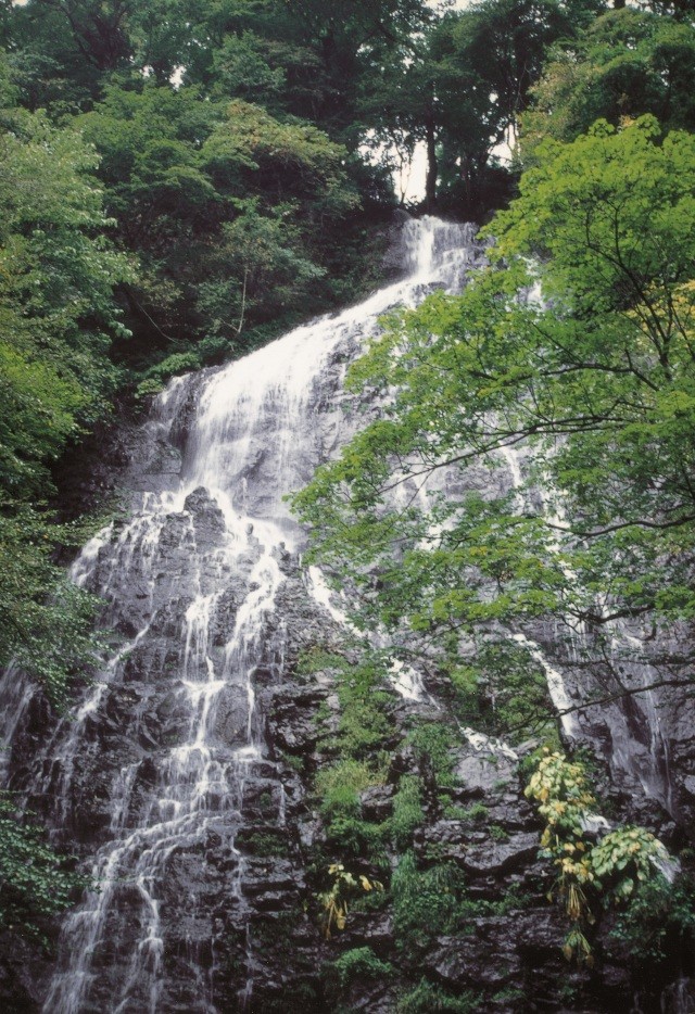 柳の滝 窓滝
