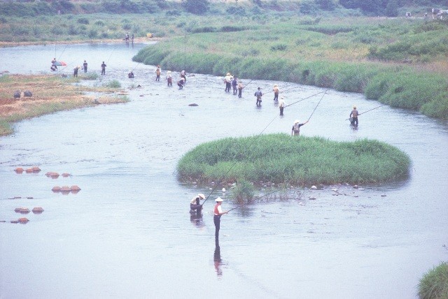 渓流釣り