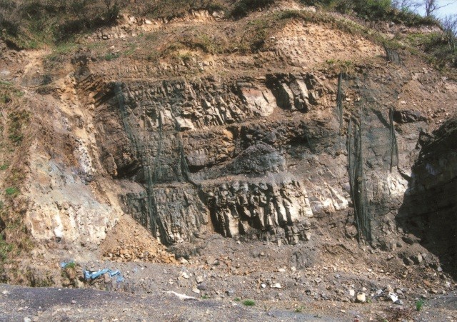 恐竜化石発掘壁