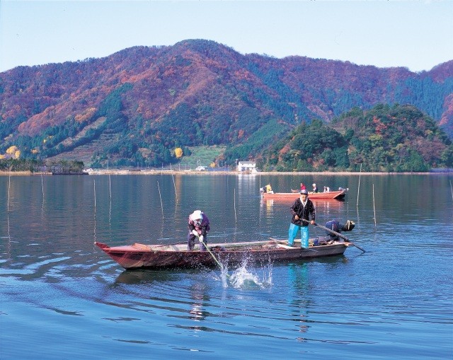 たたき網漁 三方湖