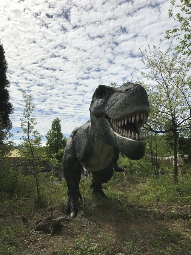 恐竜博物館　　　