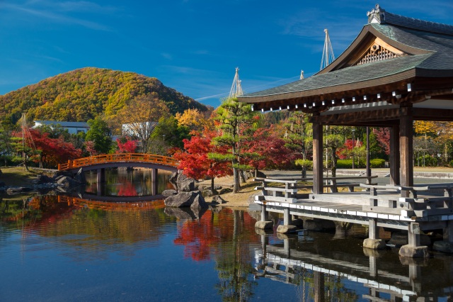 紫式部公園　紅葉　