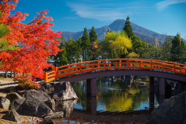 紫式部公園　紅葉　　