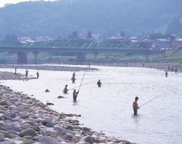 鮎釣り(九頭竜川)