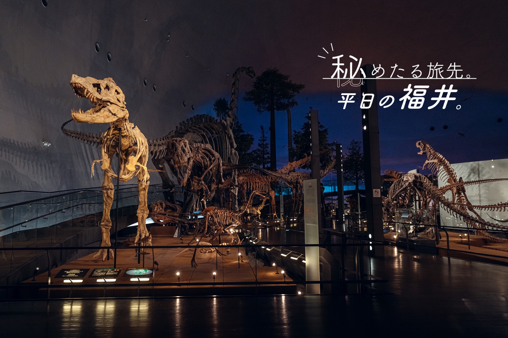 秘めたる旅先。平日の福井。