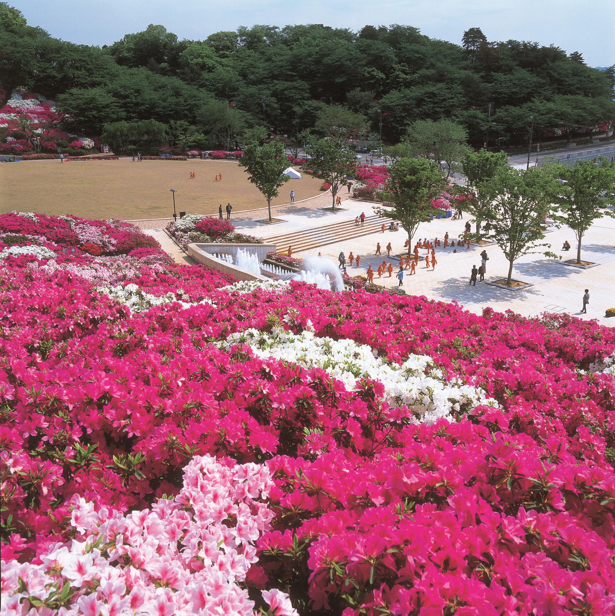 インスタ映え観光周遊モデル - 西山公園周辺