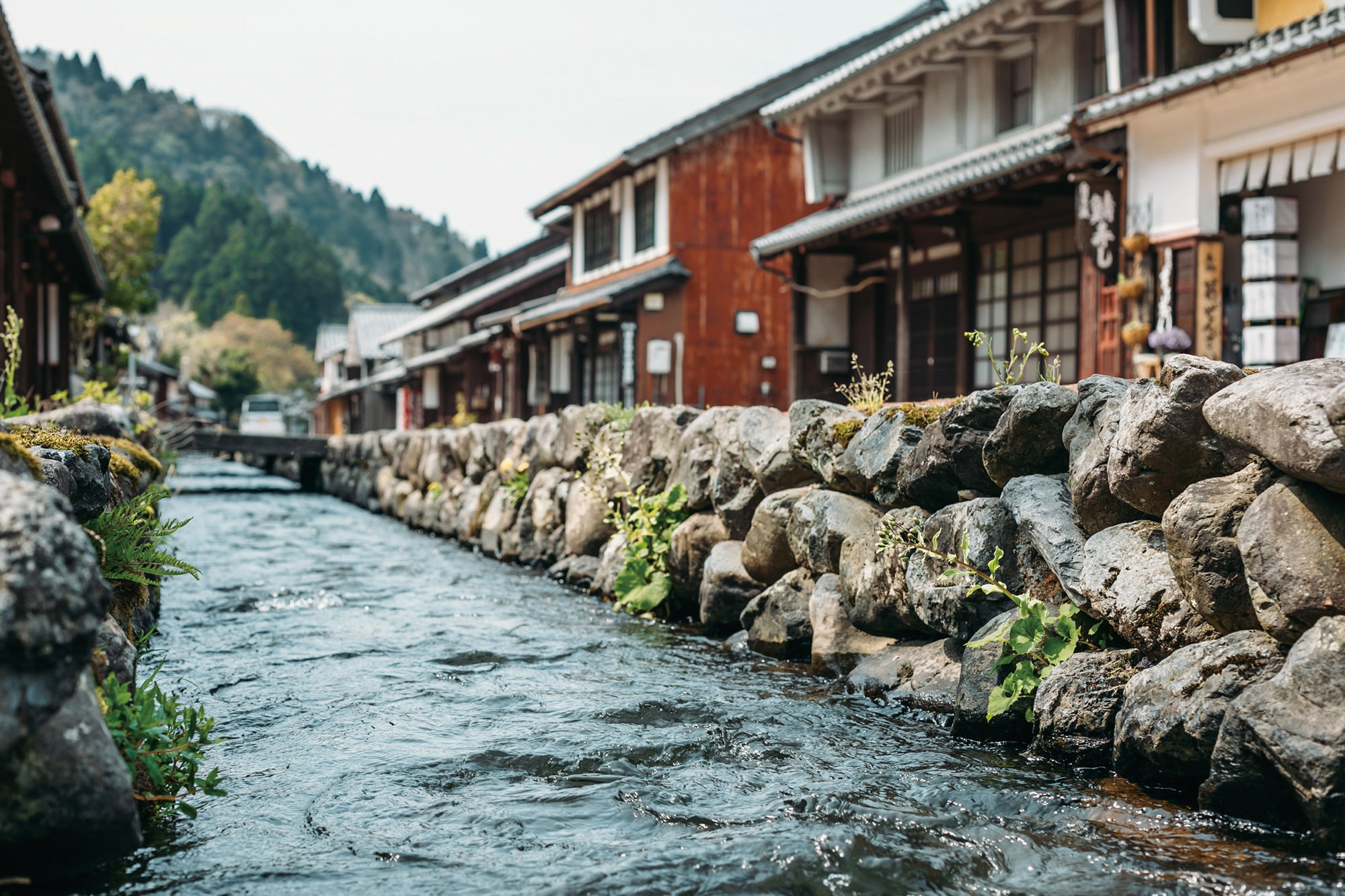 熊川宿をまるっと満喫！川のせせらぎを聴きながら贅沢な時間を過ごす旅のすすめ