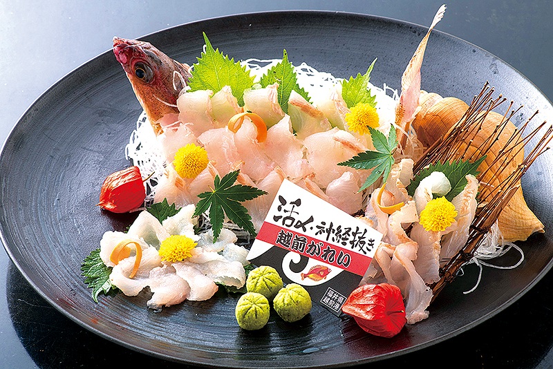 【美食福井】新たなブランド魚、活〆された「越前がれい」の刺身は絶品