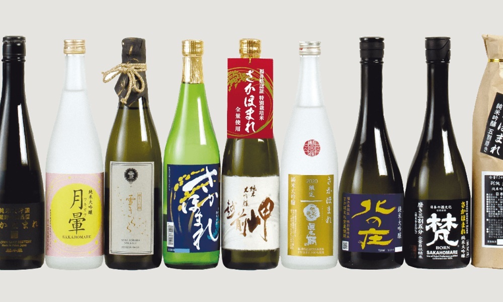 【美食福井】特別栽培の新酒米「さかほまれ」