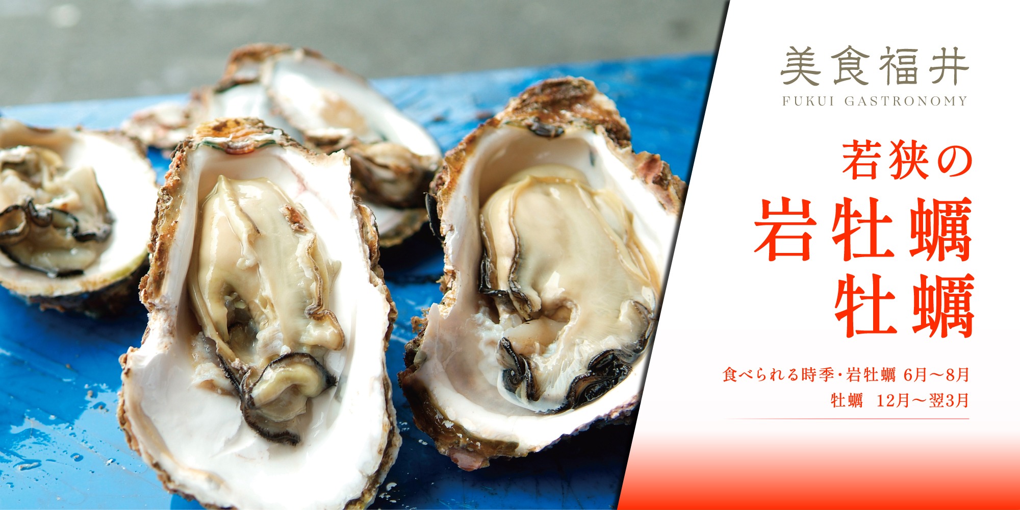 【美食福井】福井の海が育む「岩牡蠣」と「牡蠣」は磯の香りと濃厚な旨味が抜群