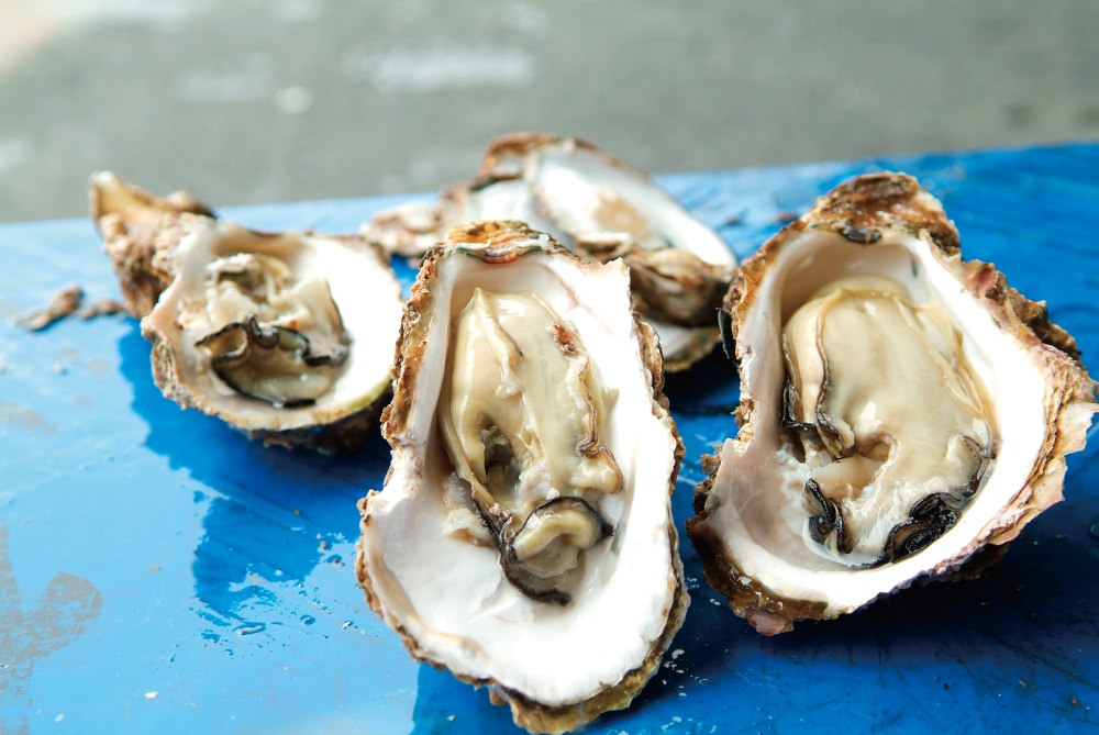 【美食福井】福井の海が育む「岩牡蠣」と「牡蠣」は磯の香りと濃厚な旨味が抜群