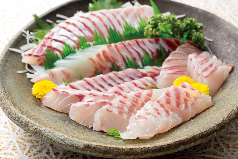 【美食福井】新ブランド魚「若狭まはた」は、上品な甘みと弾力のある食感が絶品
