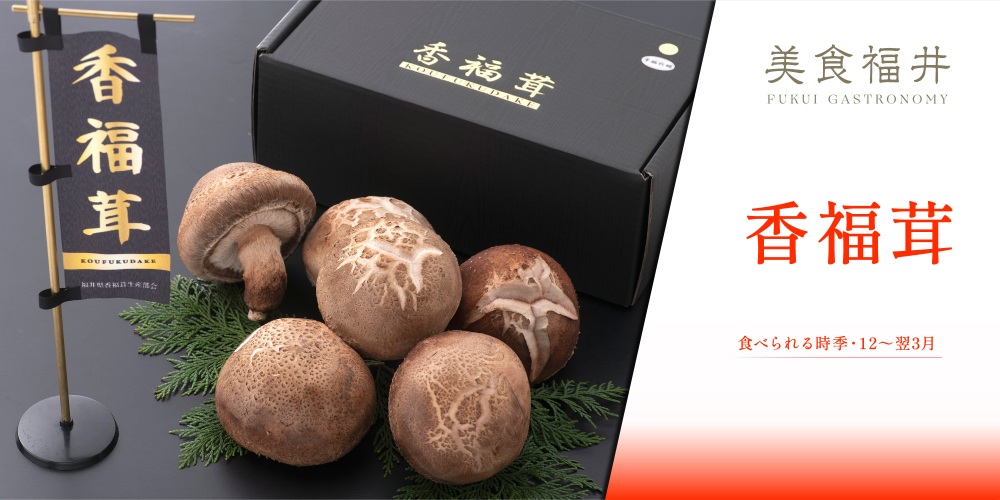 【美食福井】「香福茸」は、原木しいたけの最高級ブランド