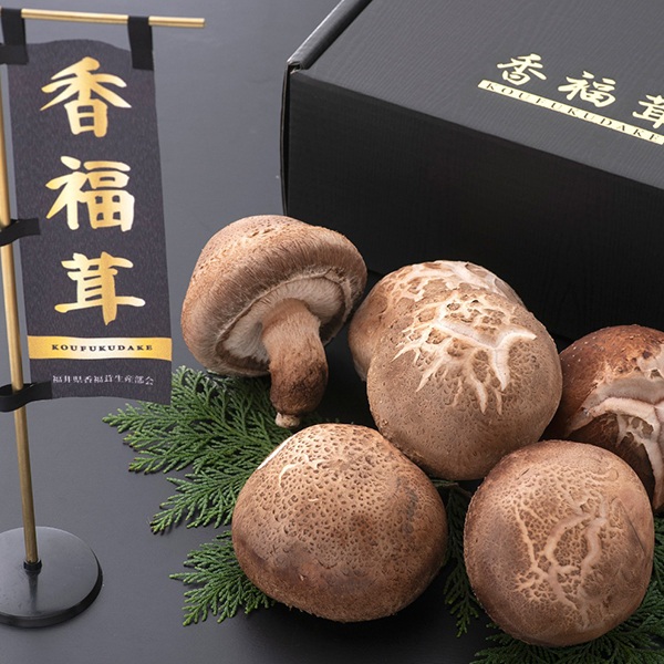 【美食福井】「香福茸」は、原木しいたけの最高級ブランド