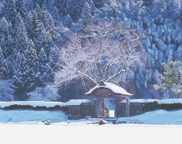 福井の冬の魅力をご紹介！福井観光ガイド（１２月～２月）　