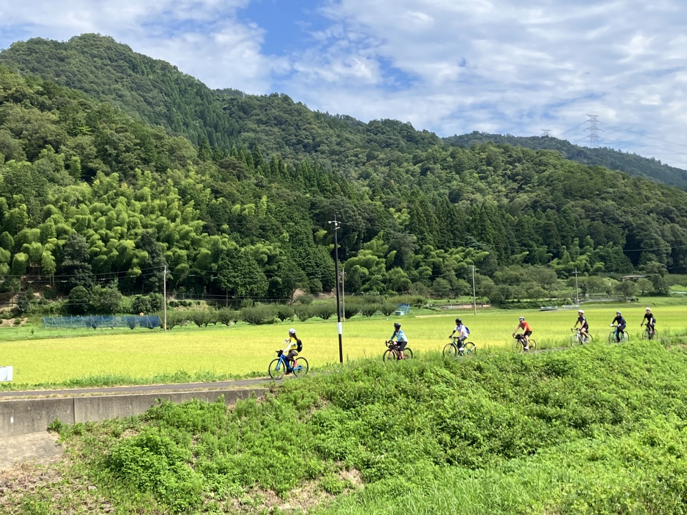 おおい町コース