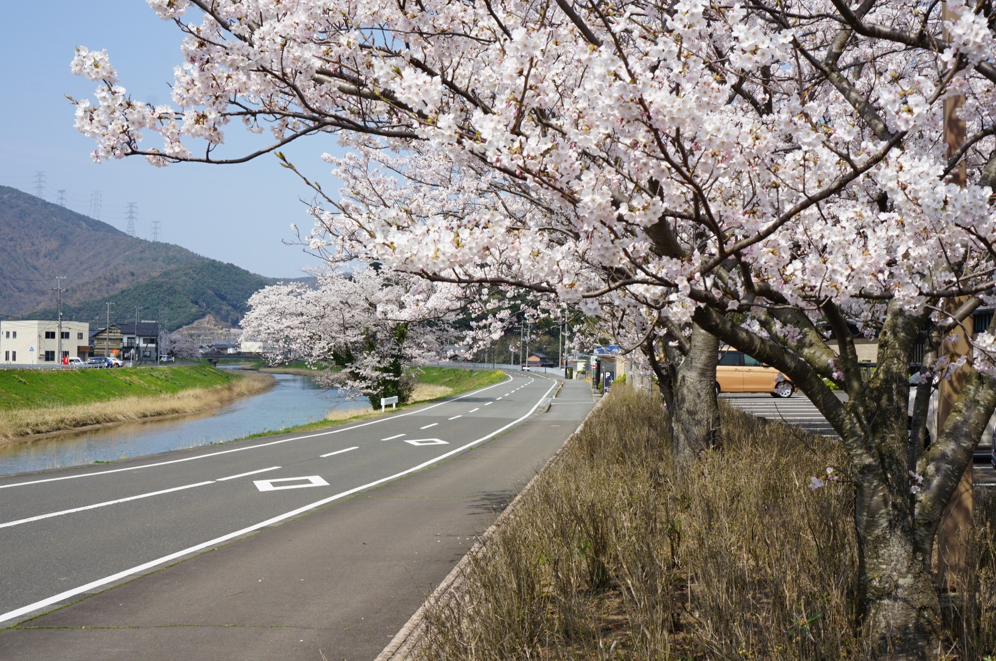 【おおい町】おおい町・川沿いリラックスサイクリング