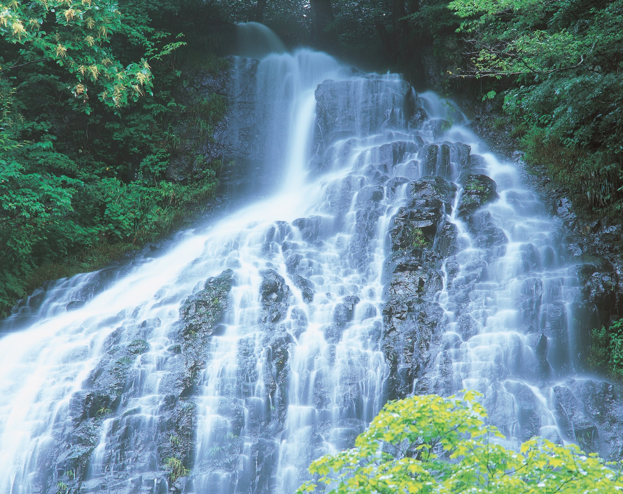 【2025年度版】福井の夏を涼しく楽しもう!福井県民おすすめ「避暑スポット」のご紹介