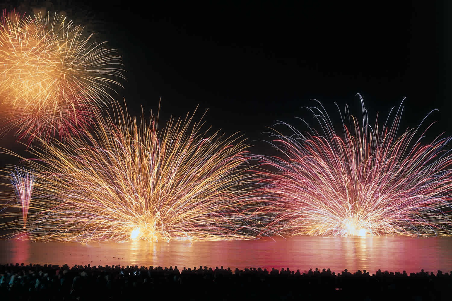 Festivals: the Soul of Fukui