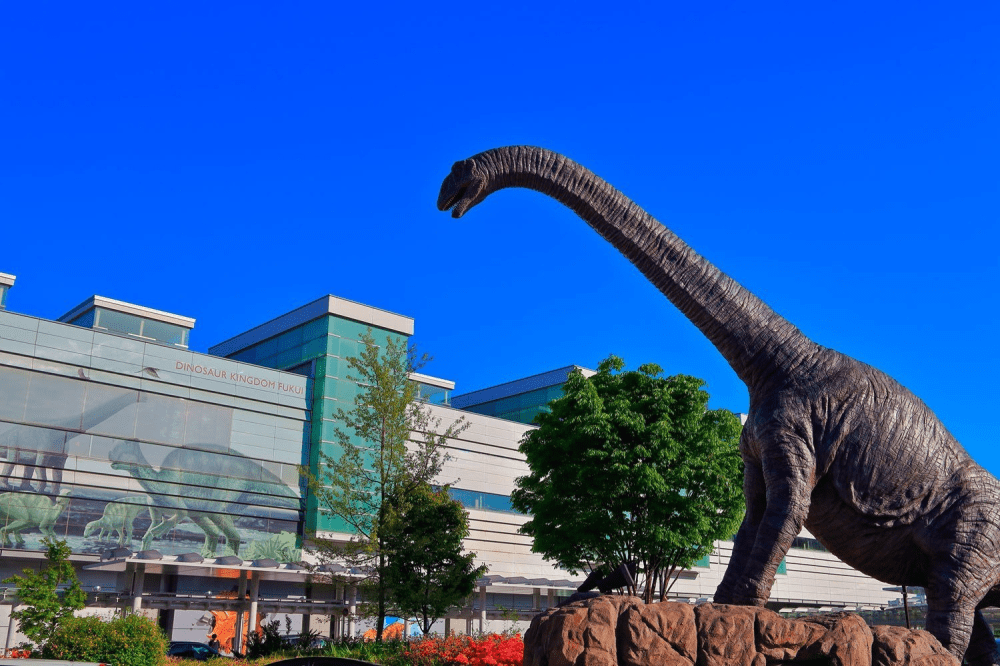 Fukui : la capitale japonaise des dinosaures