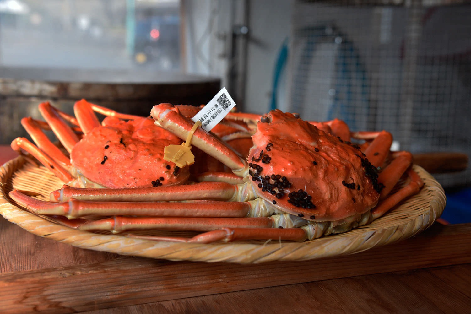 福井人氣特產:海中精華