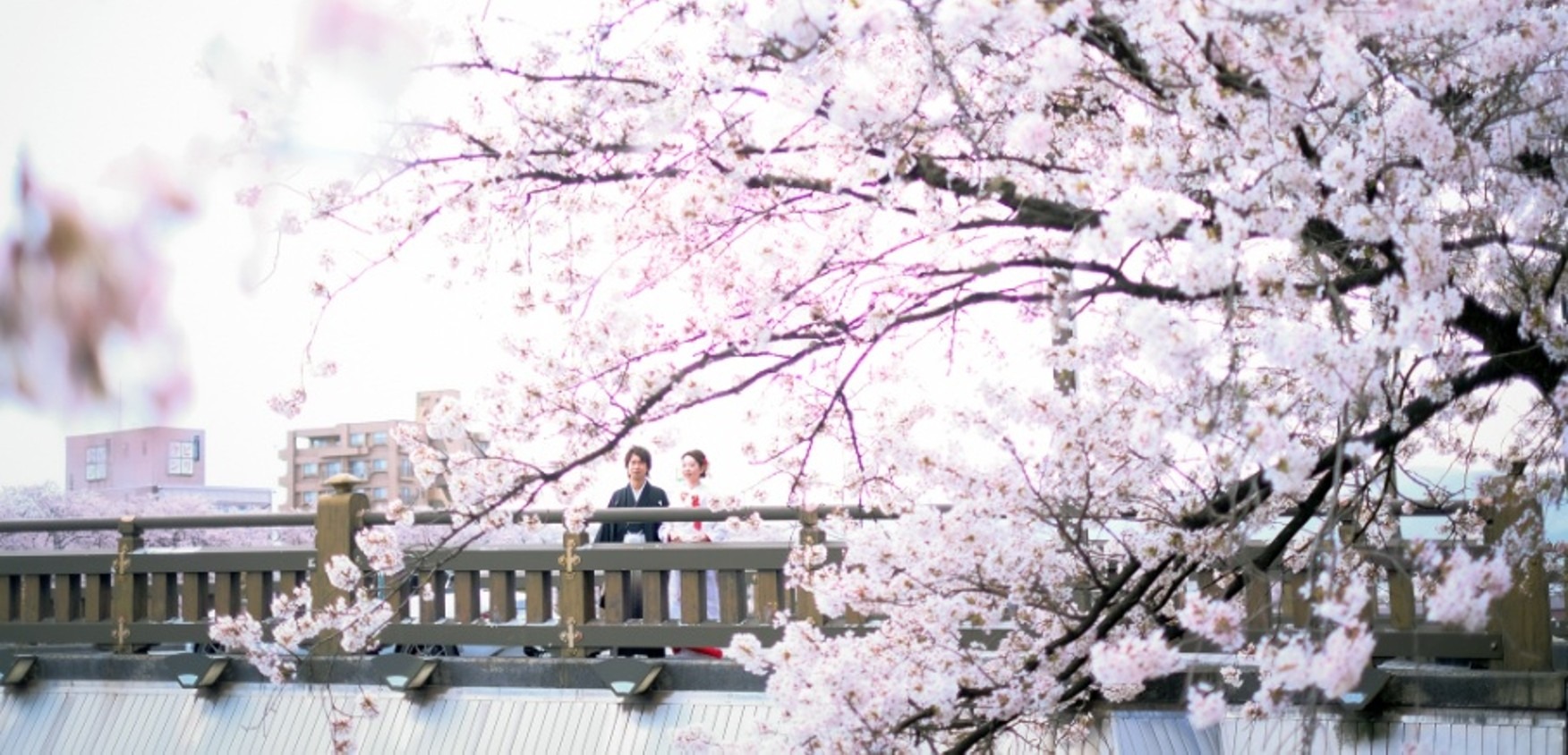 Fukui Prefecture Tourism Product Catalogue