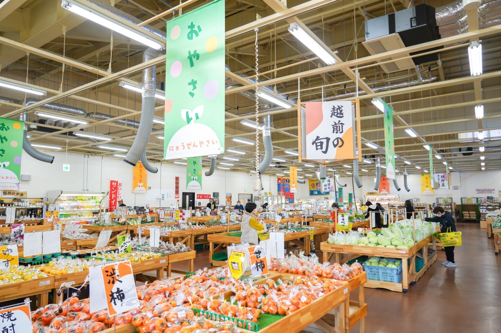 【2026年最新版】宝探し感覚でめぐる、福井の直売所ハンティン…