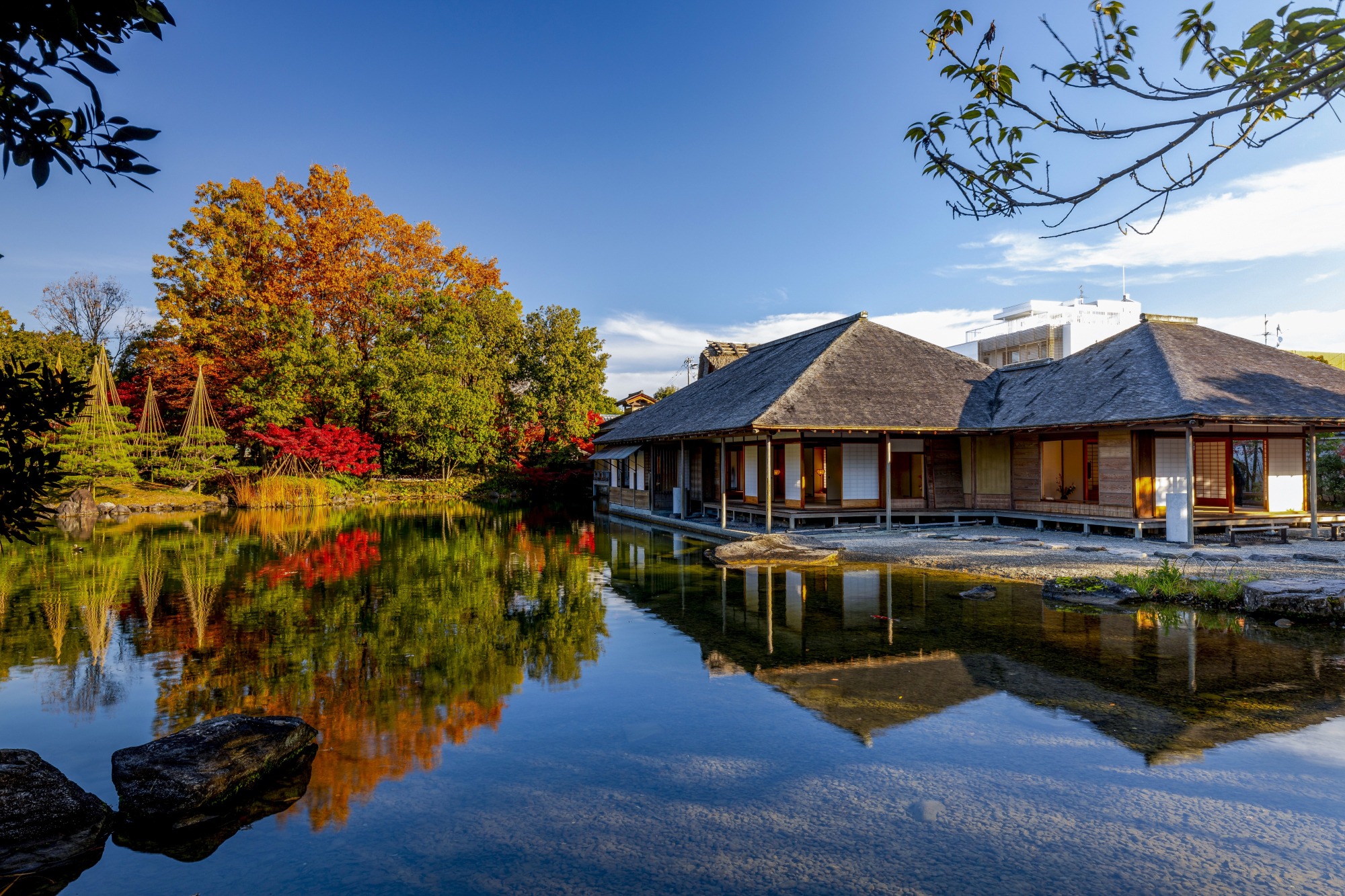 Découvrez l'un des joyaux de la Ville de Fukui : le jardin Yokokan.