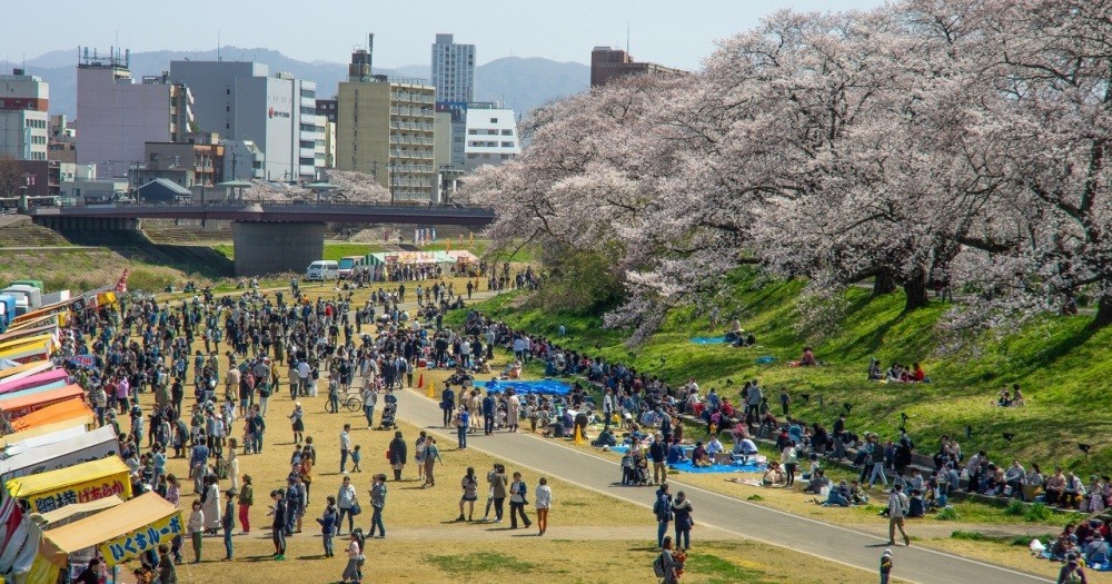 第3９回ふくい桜まつり