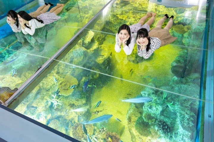 水族館好きの方はこのコースはいかがですか?