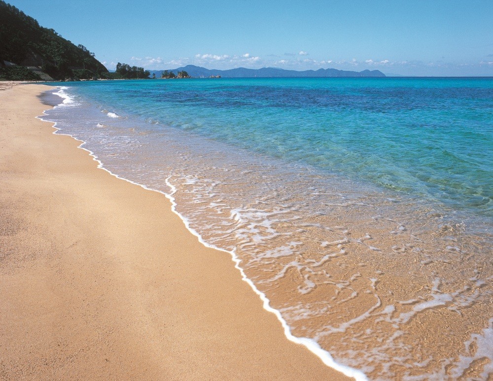 夏は美しい海水浴場へ！