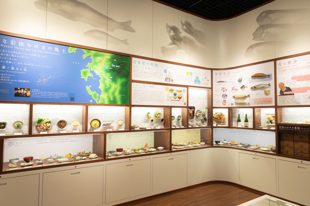 本物そっくりの料理のレプリカが多数展示