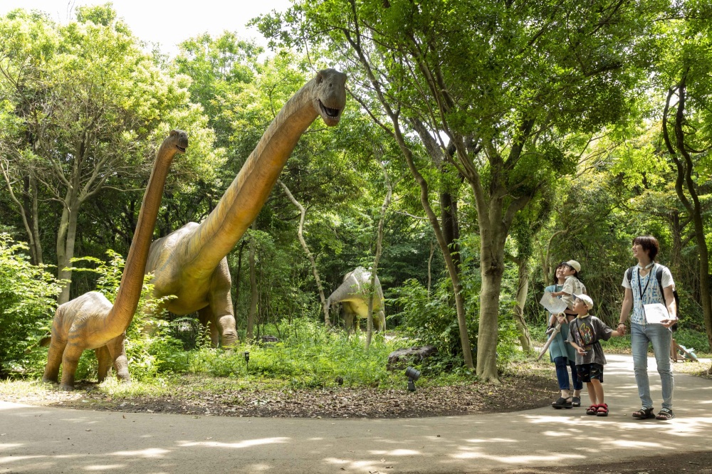 芝政ワールドと恐竜博物館を徹底攻略 | プールに温泉、キャンプ、絶景も!
