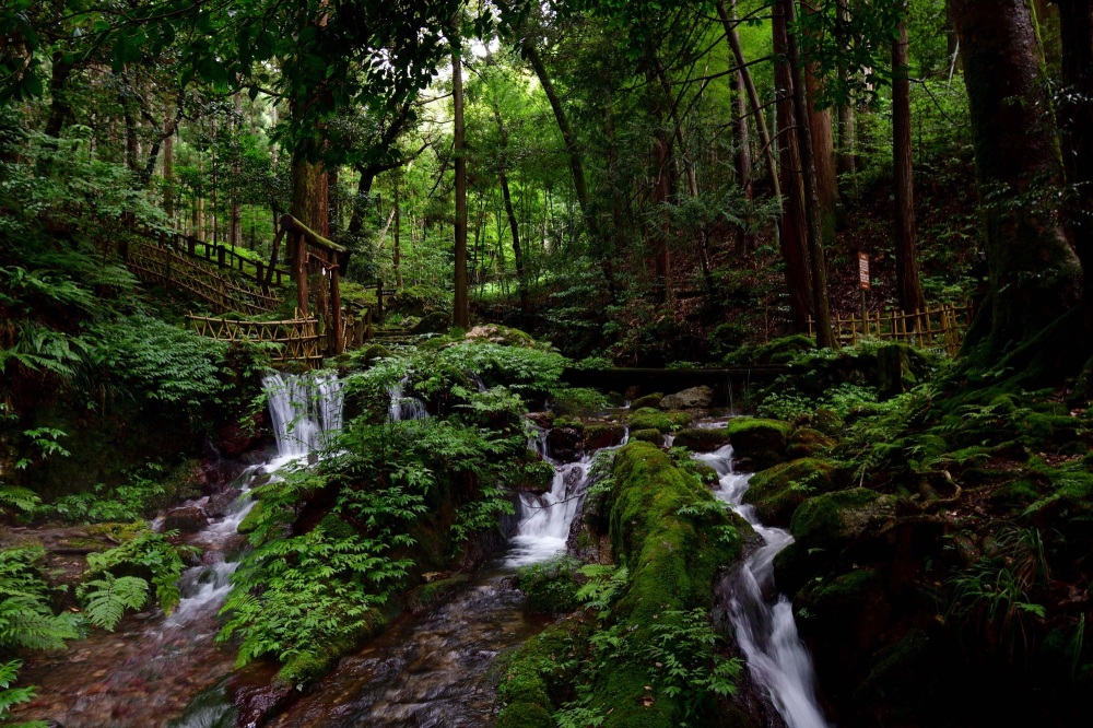 ふく旅ライターの記事も公開中!「若狭の名水を巡る旅「湧き水を汲めるスポット」オススメ5選!」