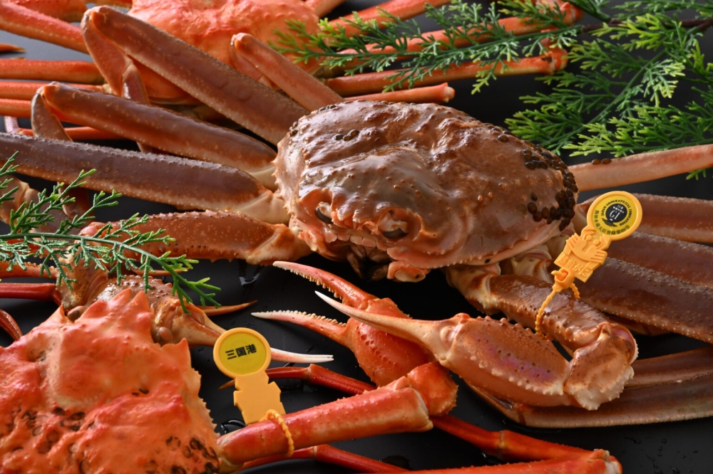 越前がにを食べることができるお店一覧（坂井市編）