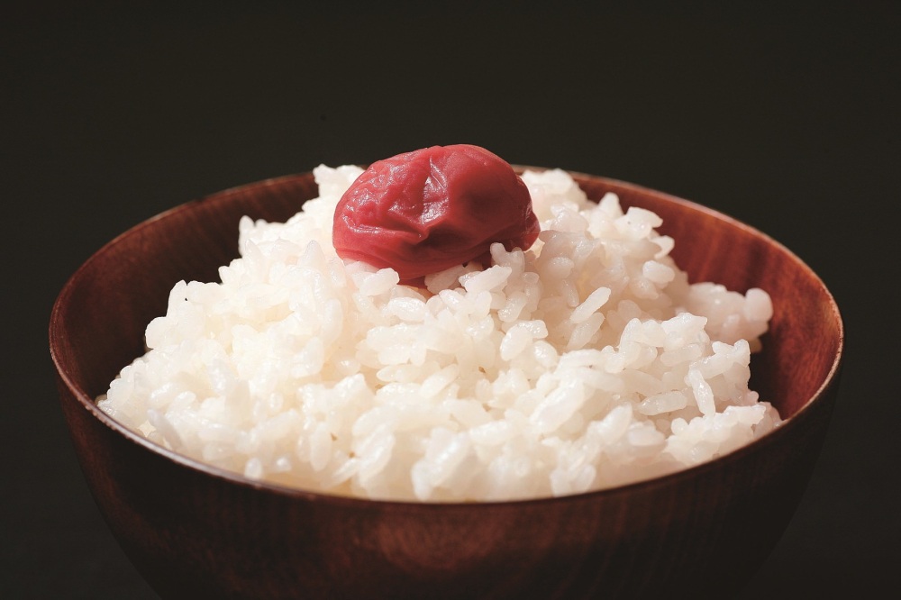 福井のブランド米「いちほまれ」