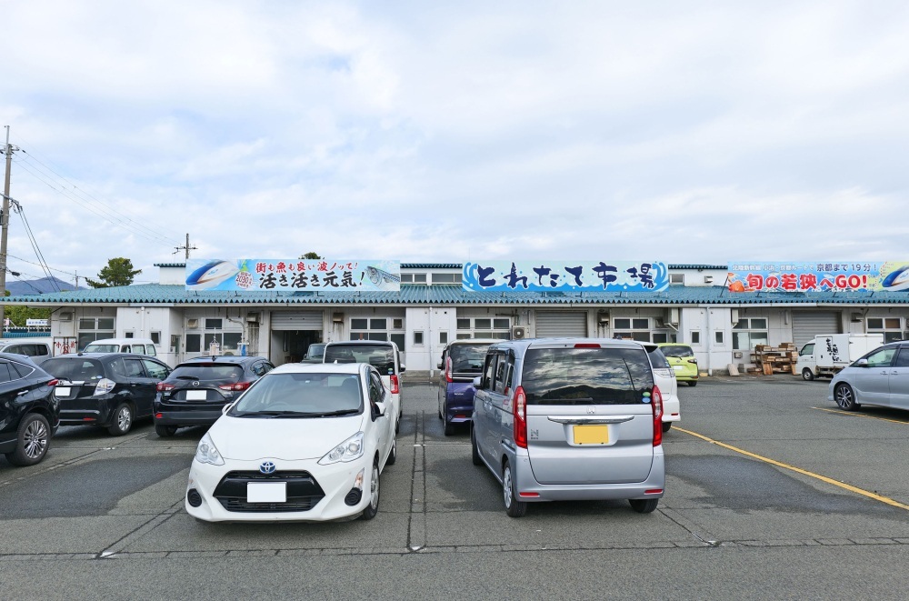 若狹小濱魚類中心