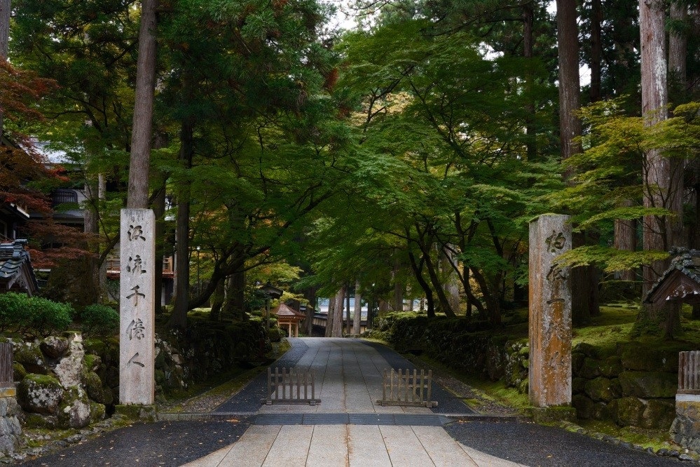 Deepen Your Connection with Zen Through Training Experiences