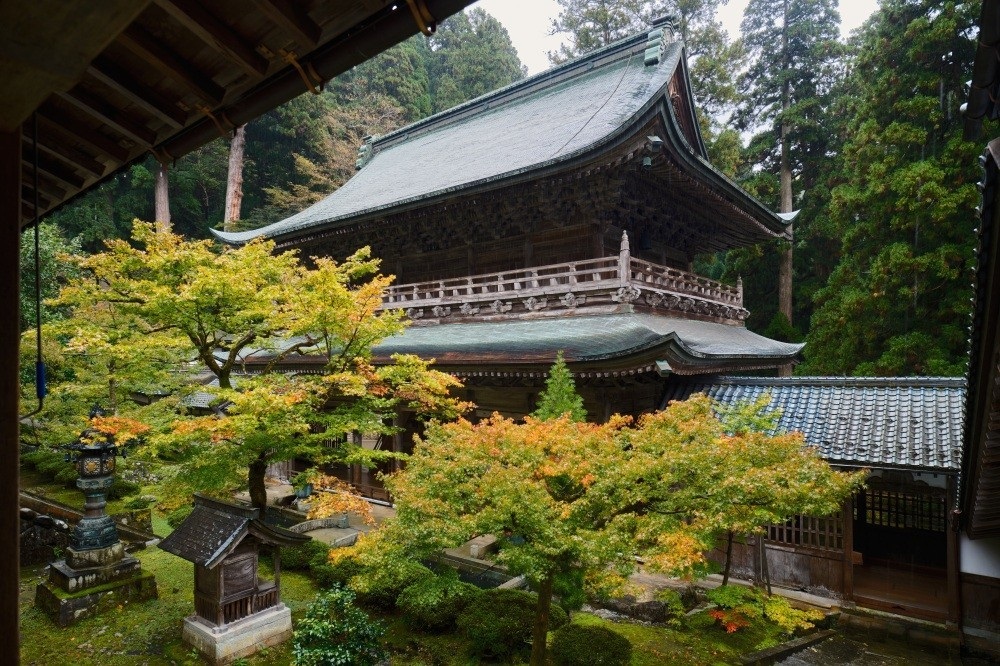 A Reason to Visit in Every Season