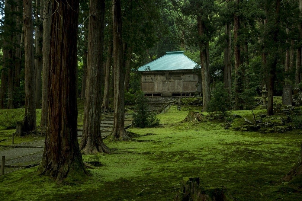 L'origine du nom « Tojinbo »