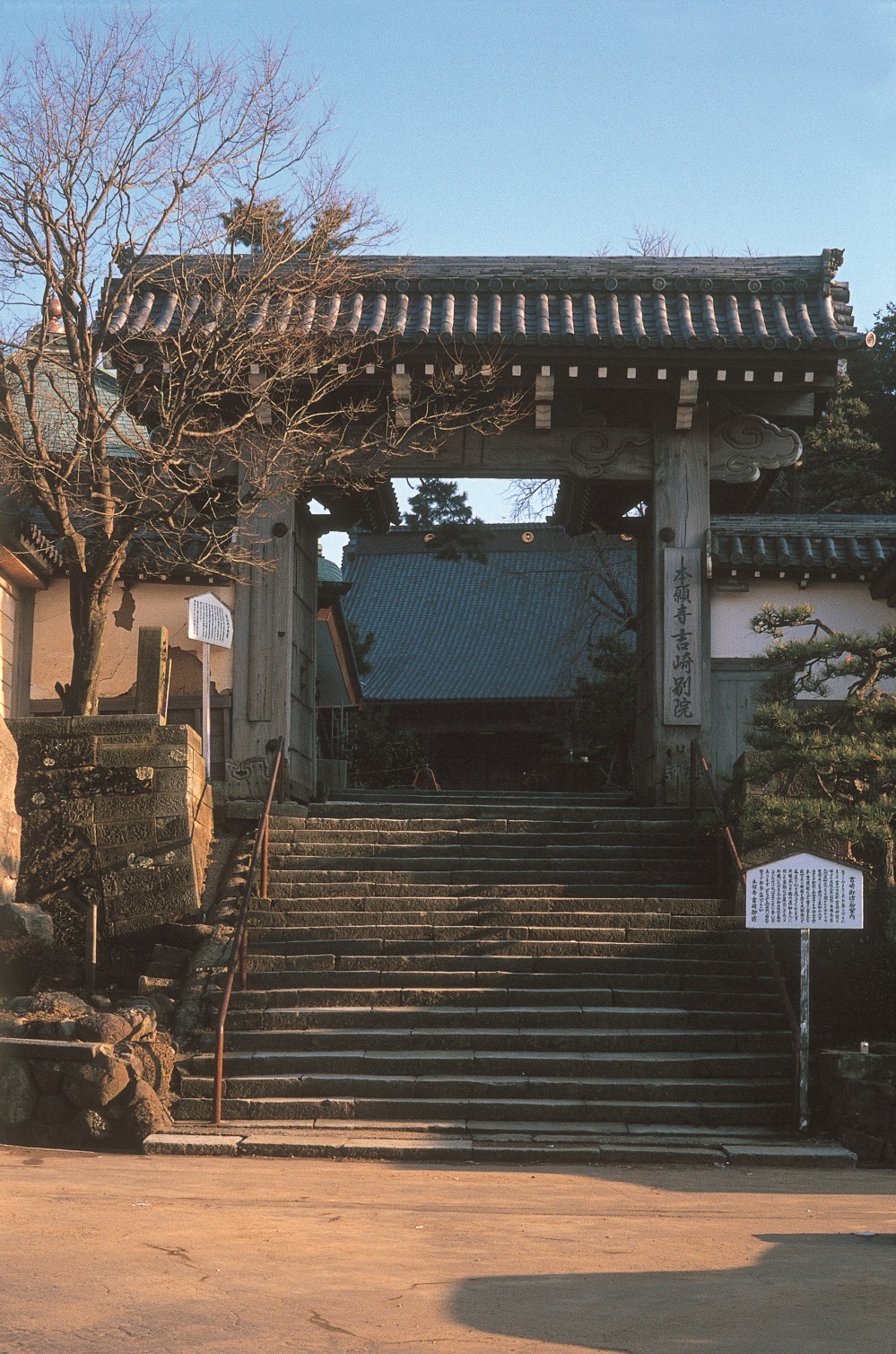 念力門