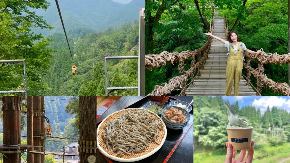 ふく旅ライターの記事も公開中!「【福井県池田町】大自然を満喫!ツリーピクニックアドベンチャーいけだと周辺観光おすすめコース」