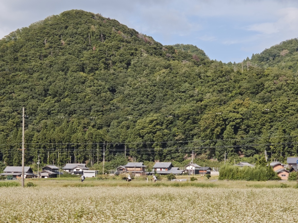 A typical rural country road