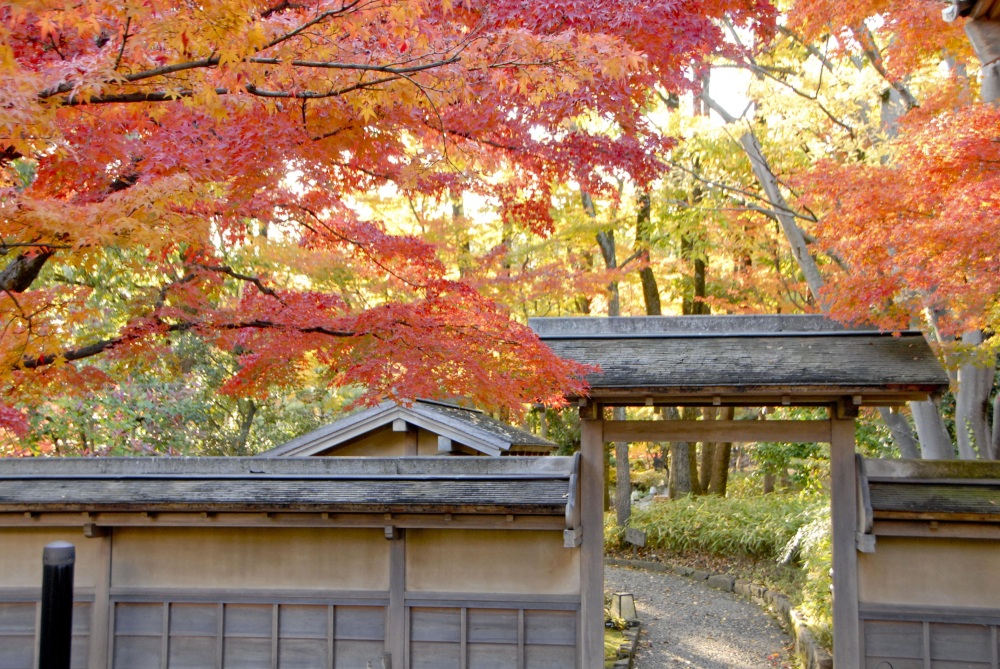 Photo: Ville de Fukui