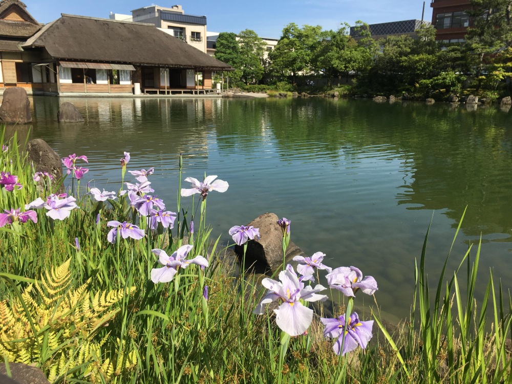 Photo: Ville de Fukui