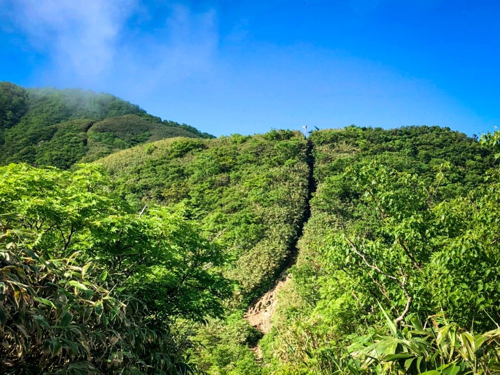 ココが山頂手前の核心部　もちが壁。急登です