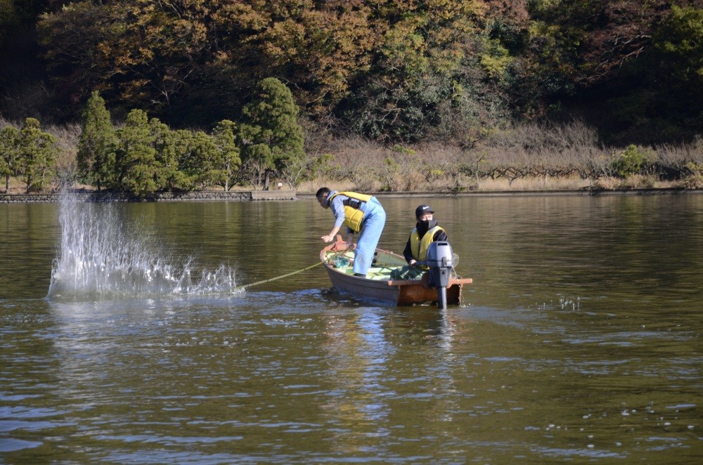 400年続く伝統漁法「たたき網漁」