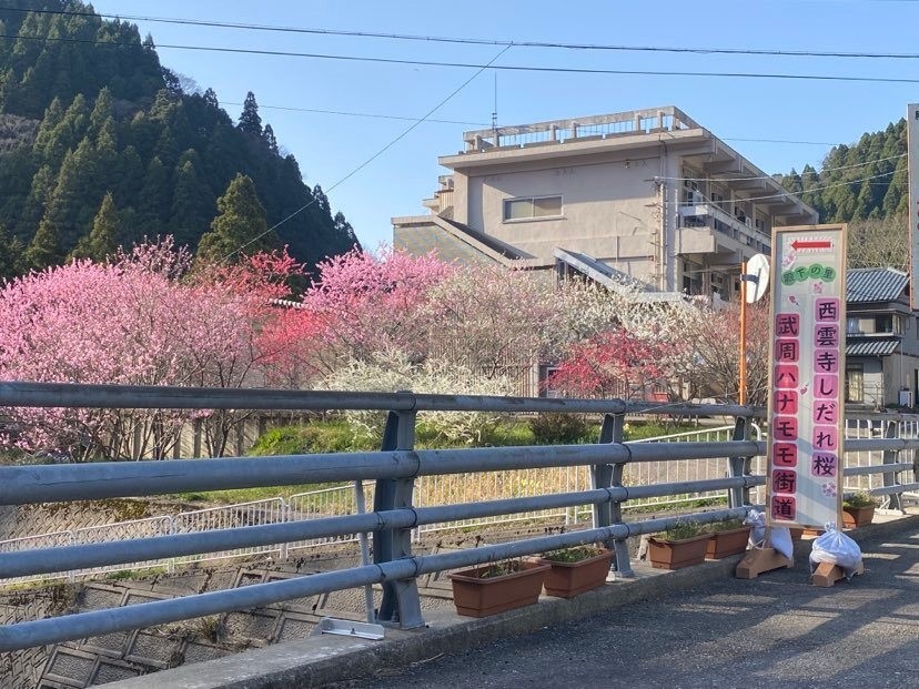 県道６号線沿いの殿下公民館手前の橋のところから、武周ケ池方面に入っていきます