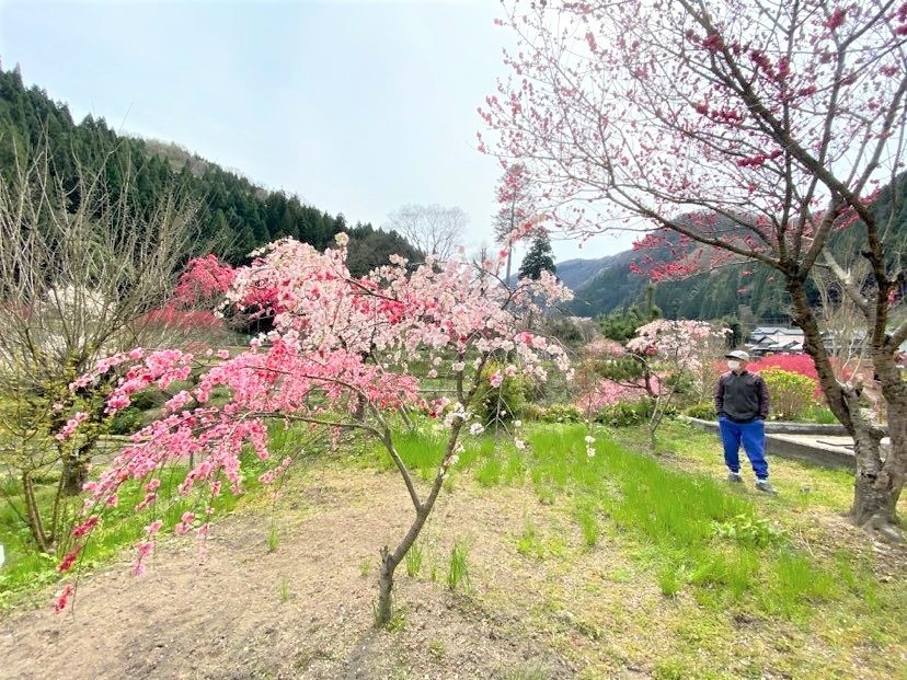 花モモの里を散策していると、内田さんが熱心に案内してくださいます